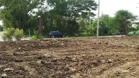 Land for sale in Baan Ruam Kao, Bang Phai, Bangkok