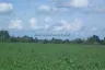 Land for sale in Nong Pla Lai, Chonburi
