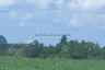Land for sale in Nong Pla Lai, Chonburi