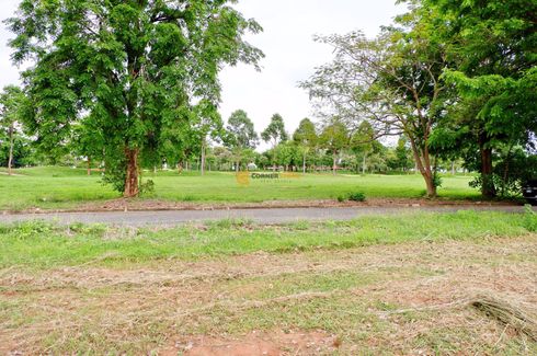 Land for sale in Huai Yai, Chonburi