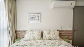2 Bedroom Condo for rent in Taka Haus Ekamai 12, Khlong Tan Nuea, Bangkok near BTS Ekkamai