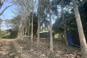 Land for sale in Nong Phlap, Prachuap Khiri Khan