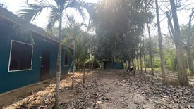 Land for sale in Nong Phlap, Prachuap Khiri Khan