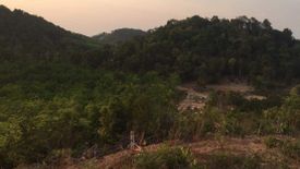 Land for sale in Ko Yao Yai, Phang Nga