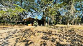 Land for sale in Khun Khong, Chiang Mai