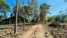 Land for sale in Khun Khong, Chiang Mai