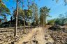 Land for sale in Khun Khong, Chiang Mai