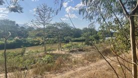 Land for sale in Mueang Kaeo, Chiang Mai