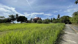 Land for sale in Lipa Noi, Surat Thani