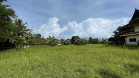 Land for sale in Lipa Noi, Surat Thani