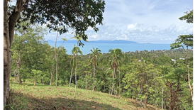 Land for sale in Ang Thong, Surat Thani