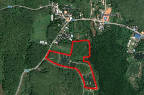 Land for sale in Pa Khlok, Phuket