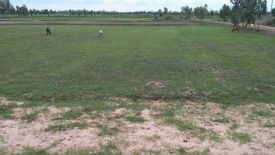 Land for sale in Nam Om, Roi Et