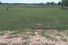 Land for sale in Nam Om, Roi Et