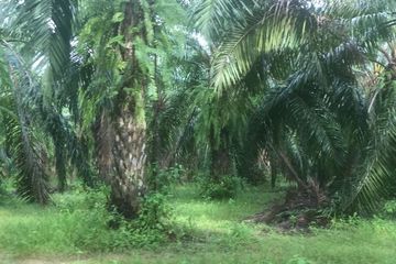 Land for sale in Ban Klang, Krabi