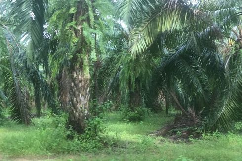 Land for sale in Ban Klang, Krabi