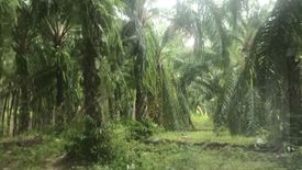 Land for sale in Ban Klang, Krabi