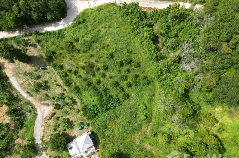 Land for sale in Choeng Thale, Phuket