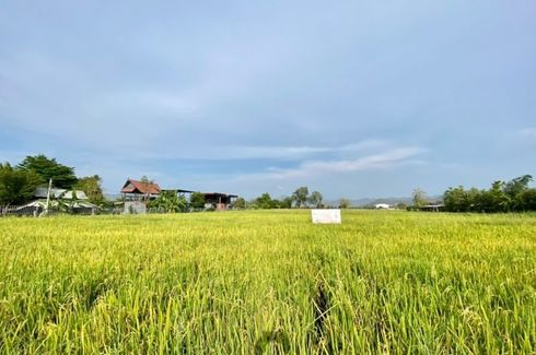 Land for sale in Chae Chang, Chiang Mai