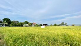 Land for sale in Chae Chang, Chiang Mai