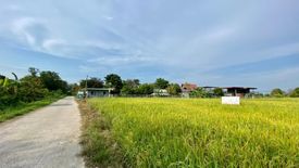 Land for sale in Chae Chang, Chiang Mai