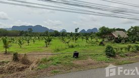 Land for sale in Krasom, Phang Nga
