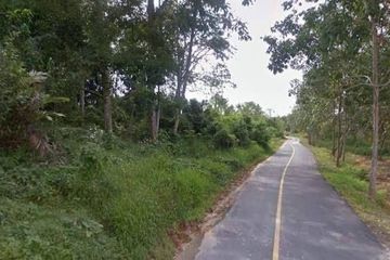 Land for sale in Thep Krasatti, Phuket