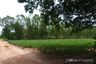 Land for sale in Nong Prue, Chonburi