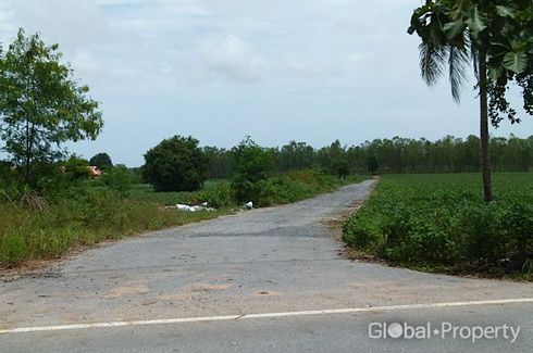 Land for sale in Nong Prue, Chonburi