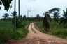 Land for sale in Nong Prue, Chonburi