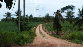 Land for sale in Nong Prue, Chonburi