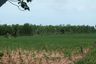 Land for sale in Nong Prue, Chonburi