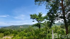 Land for sale in Choeng Thale, Phuket
