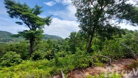 Land for sale in Choeng Thale, Phuket