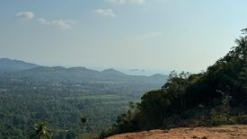 Land for sale in Taling Ngam, Surat Thani