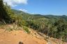 Land for sale in Taling Ngam, Surat Thani
