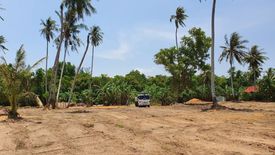 Land for sale in Mai Khao, Phuket