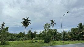 Land for sale in Mai Khao, Phuket