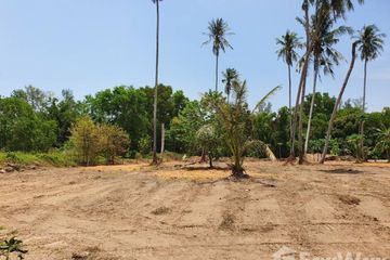 Land for sale in Mai Khao, Phuket
