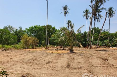 Land for sale in Mai Khao, Phuket