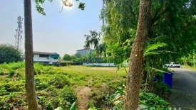 Land for sale in Chang Phueak, Chiang Mai