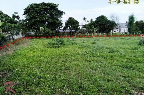 Land for sale in Huai Sai, Chiang Mai