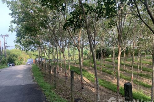 Land for sale in Choeng Thale, Phuket
