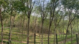 Land for sale in Choeng Thale, Phuket