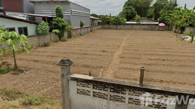 Land for sale in Pa Daet, Chiang Mai