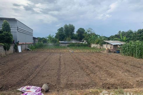 Land for sale in Pa Daet, Chiang Mai