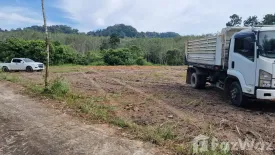 Land for sale in Si Sunthon, Phuket