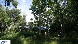 Land for sale in Nong Kin Phen, Ubon Ratchathani