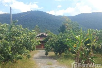 Land for sale in Si Bua Ban, Lamphun
