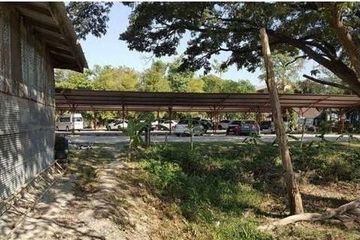 Land for sale in Fa Ham, Chiang Mai